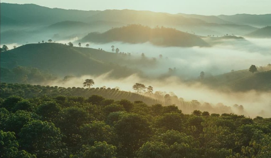Ethiopia — Chelbesa highlands