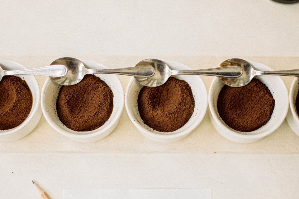Cupping bowls set for tasting