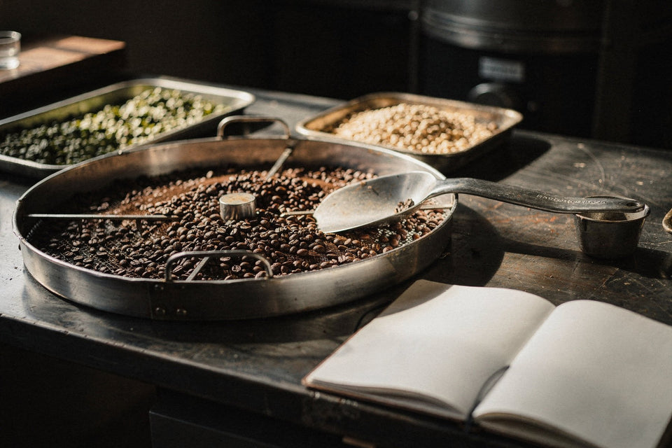 Green and roasted samples on the roastery bench